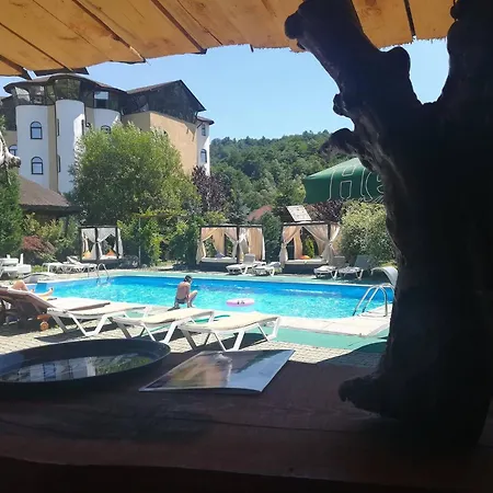 Hotel Castelul De Vis