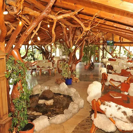 Castelul De Vis Hotel Petroşani