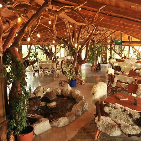 Hotel Castelul De Vis Petroşani