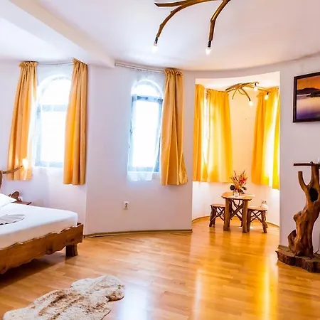 Hotel Castelul De Vis Petroşani