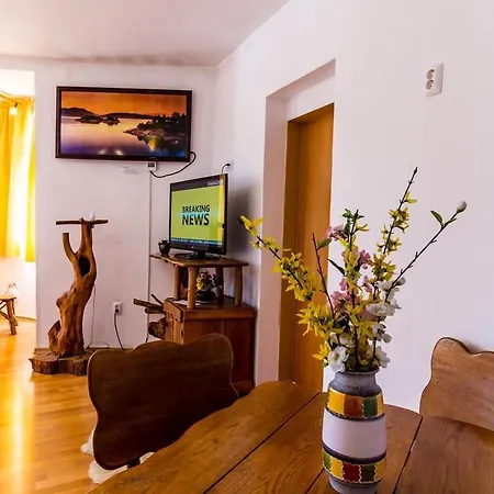 Hotel Castelul De Vis Petroşani