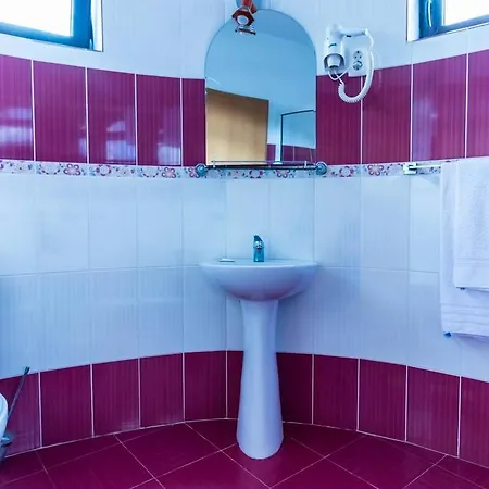 Hotel Castelul De Vis *