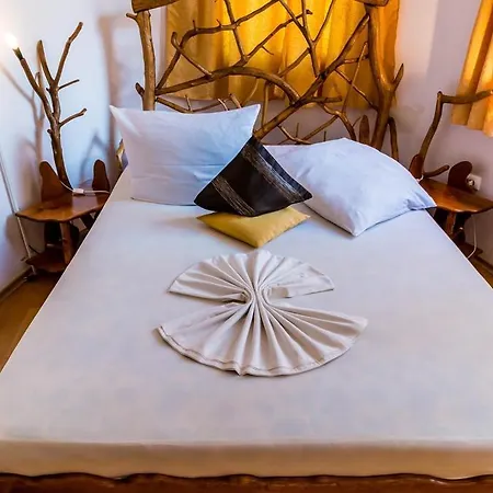 Hotel Castelul De Vis Petroşani