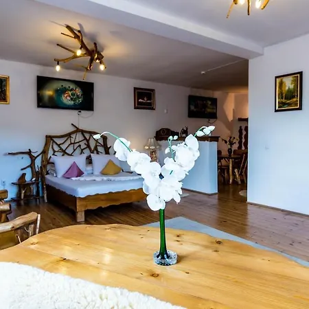 Hotel Castelul De Vis Petroşani