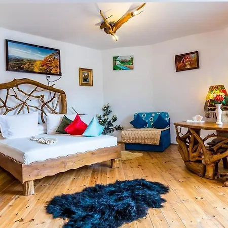 Hotel Castelul De Vis *