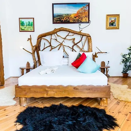 Hotel Castelul De Vis Petroşani