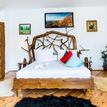 Hotel Castelul De Vis *