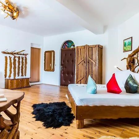 Hotel Castelul De Vis Petroşani