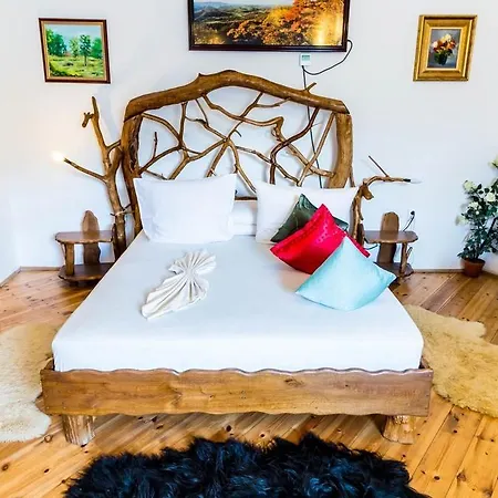 Castelul De Vis Hotel Petroşani