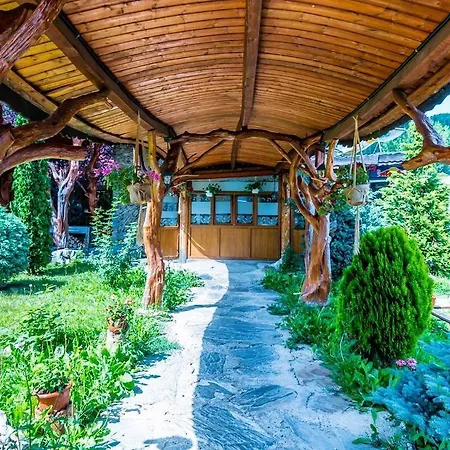 Castelul De Vis Hotel Petroşani